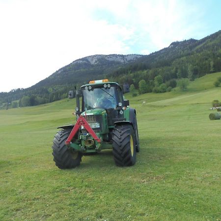 Ferienwohnung Andrea Bad Mitterndorf Luaran gambar