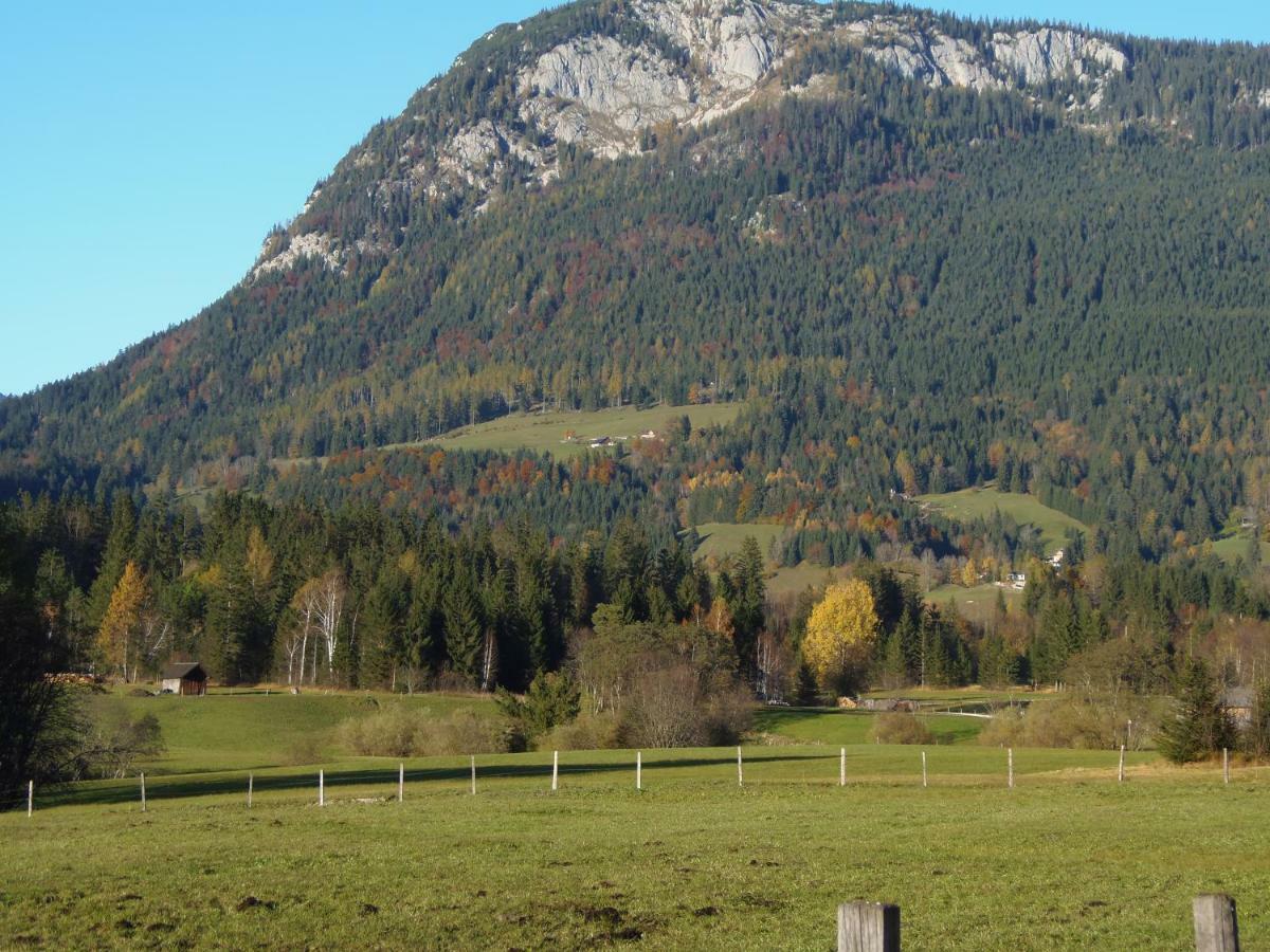 Ferienwohnung Andrea Bad Mitterndorf Luaran gambar