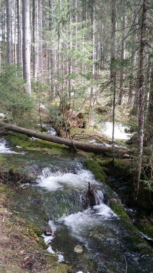Ferienwohnung Andrea Bad Mitterndorf Luaran gambar